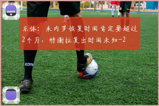 东体：米内罗恢复时间肯定要超过2个月，特谢拉复出时间未知