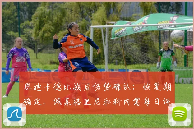 恩迪卡德比战后伤势确认：恢复期确定。佩莱格里尼和科内需每日评估