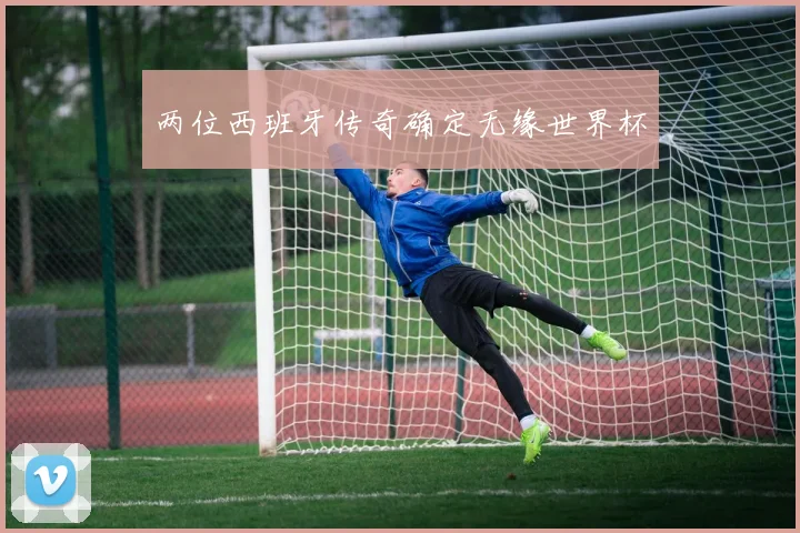 两位西班牙传奇确定无缘世界杯